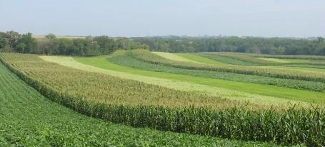 Nebraska Farmers Network to host meeting on land ownership and business strategies