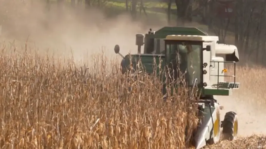 Harvest wrapping up in southeast Nebraska, bean harvest down