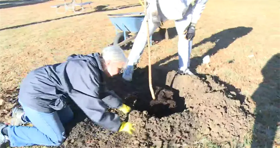 Lincoln volunteers plant trees in Van Dorn Park