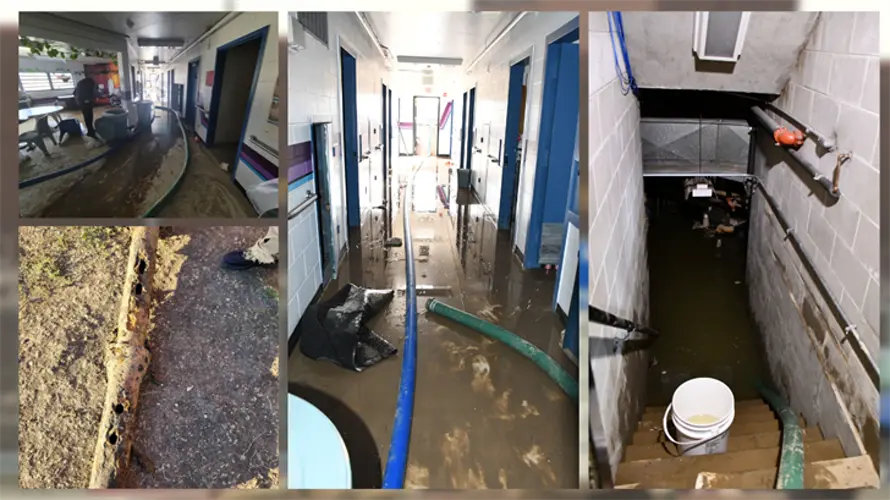 Damage resulting from Nebraska State Pen leak is long term
