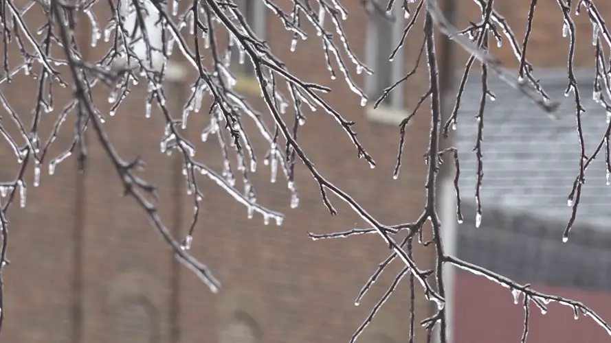 Frost advisory in place for parts of central, east Nebraska Saturday morning