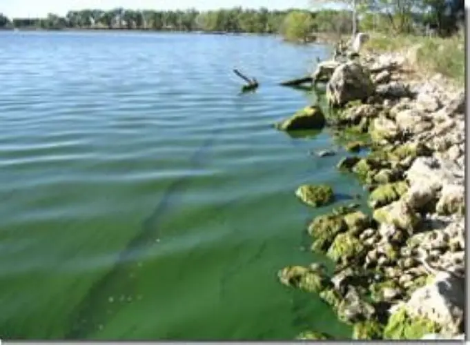 Health alert issued for three lakes in Nebraska