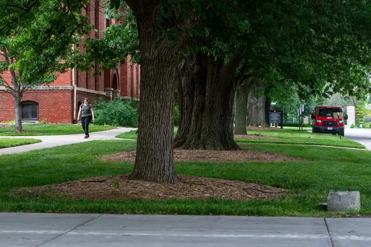 A 'one university' preview? NU’s central budget doubles as campuses take cuts