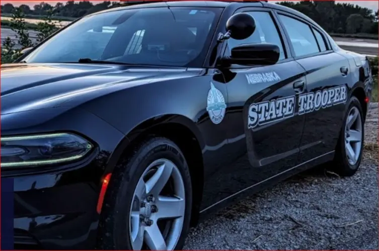 Patrol units damaged, suspect arrested in Waverly