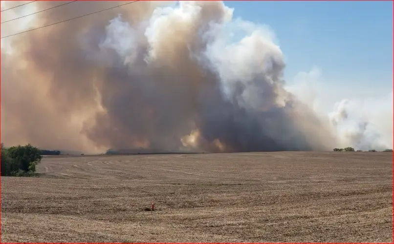 No repeat of wildfires needed