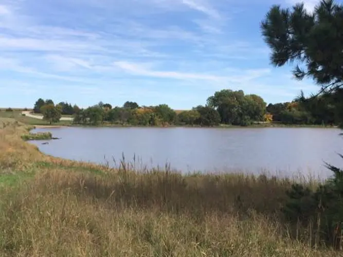 Toxic algae found in Jefferson County lake