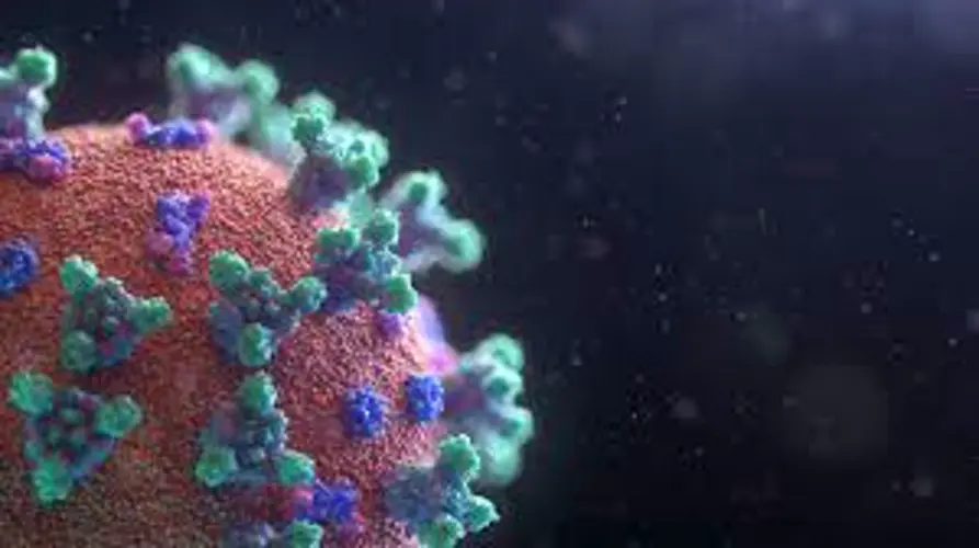 Nebraska vuelve a reportar actualizaciones semanales sobre coronavirus