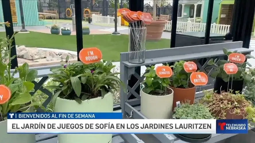 Bienvenidos al fin de semana