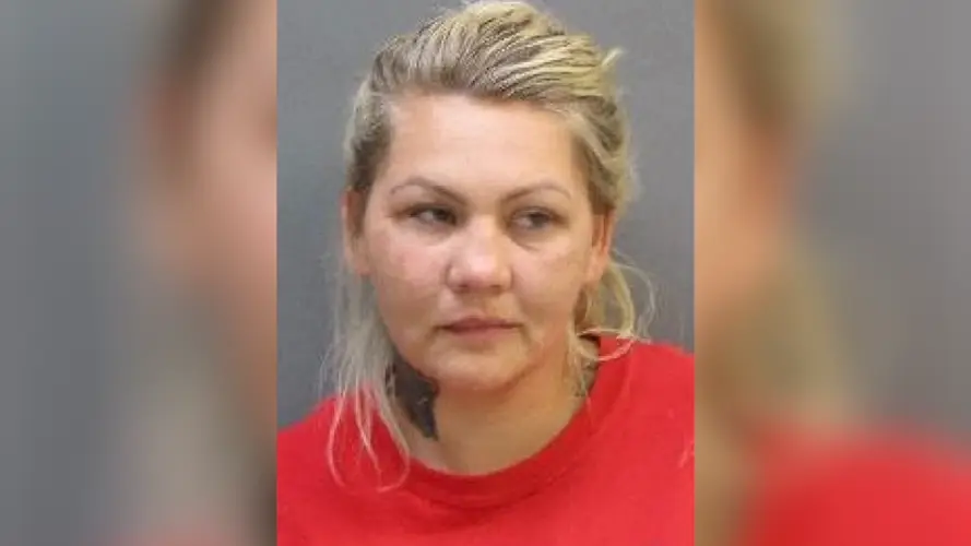 Mujer de Hastings arrestada por conducir ebria con menores