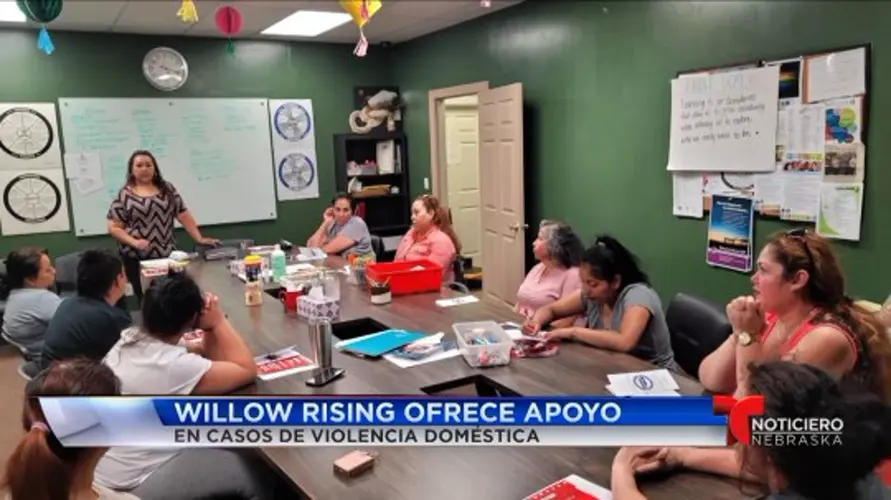 Willow Rising ofrece apoyo en casos de violencia dome´stica