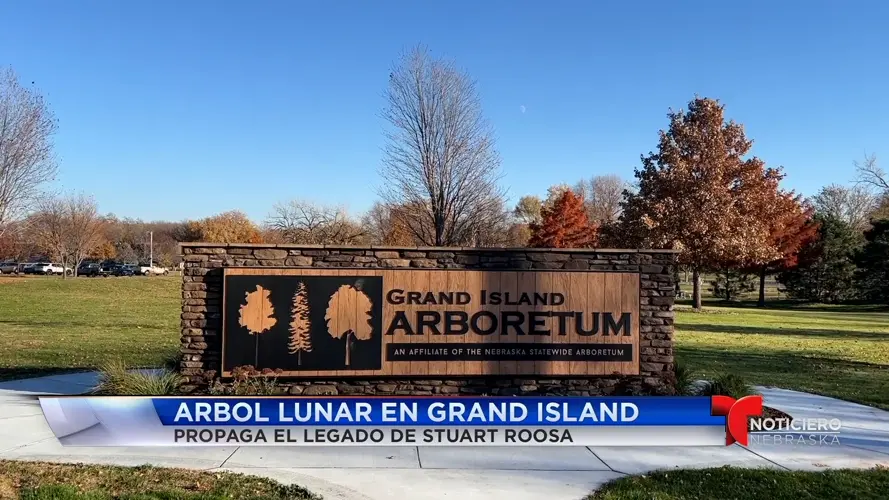 Arbol lunar en Grand Island propaga el legado de Stuart Roosa