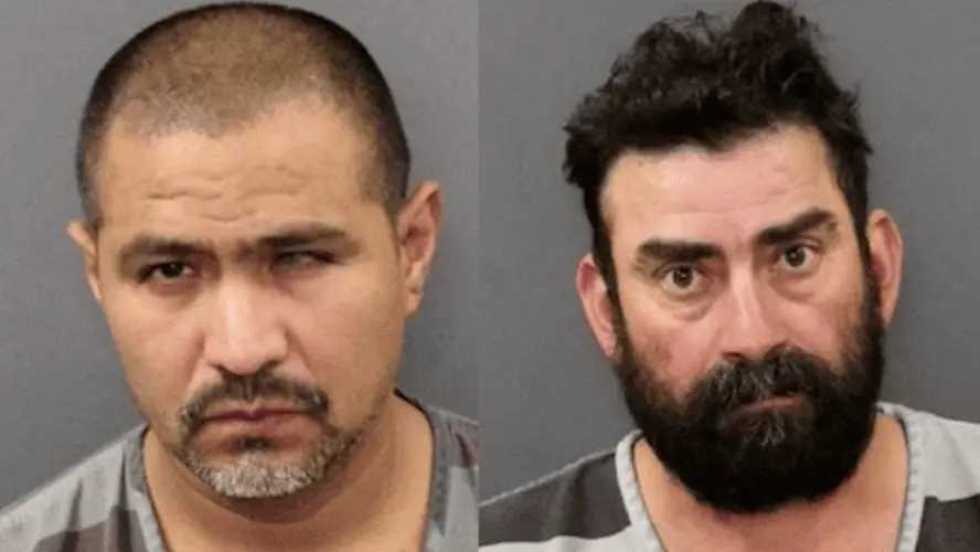 Dos sospechosos de peleas de gallos se declararon culpables