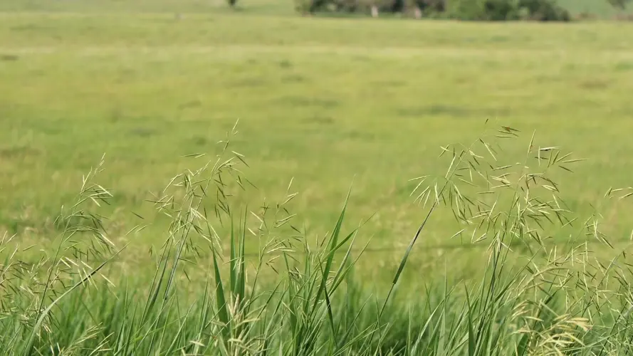 USDA proporciona fondos para restaurar tierras en Nebraska