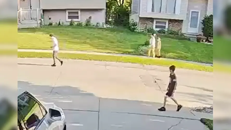 Alguacil del Condado de Sarpy busca sospechosos que agredieron familia el 4 de julio