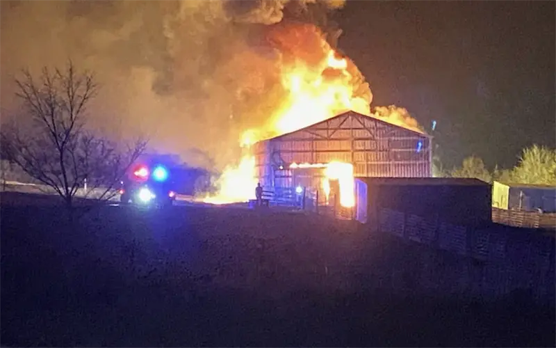 Mueren cuatro caballos y dos ovejas en incendio cerca de Raymond