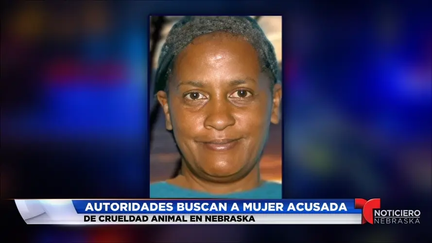 Mujer de Omaha enfrenta cargos por crueldad animal tras caso de negligencia grave