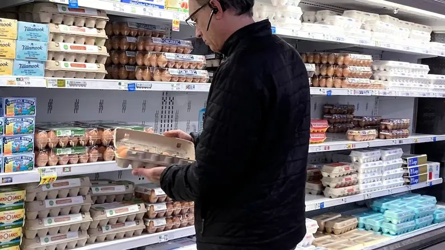 Los precios de los huevos en EE.UU. caen por primera vez en meses
