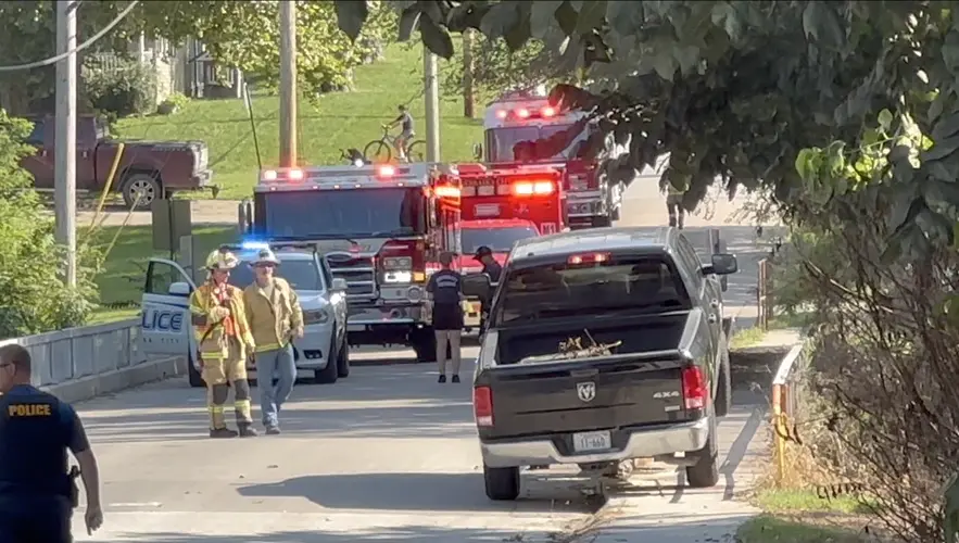 Stuttering engine blamed as truck climbs bridge rail