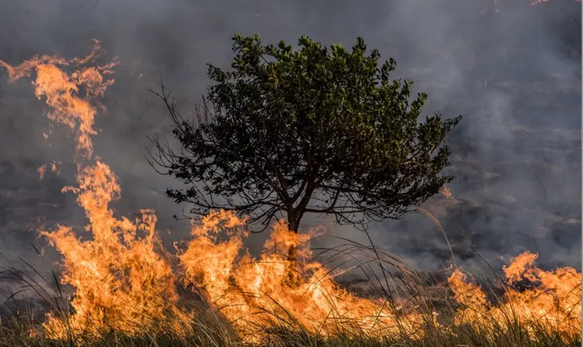Fire departments stretched thin as crews battle ongoing wildfire north of Henry