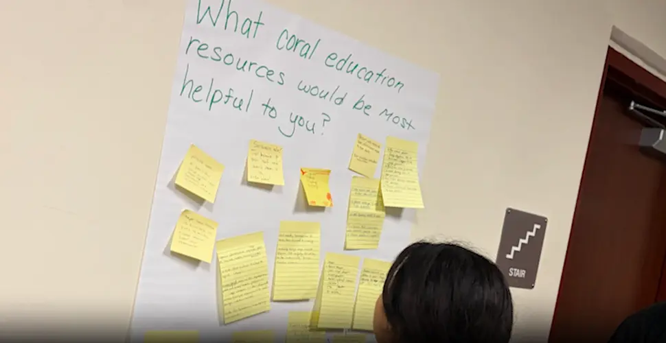 Community input to shape Guam Coral Reef Strategy