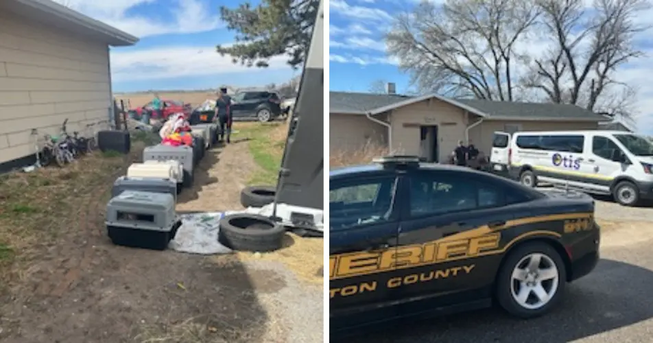 7 children, 52 animals removed from Pilger home after investigation