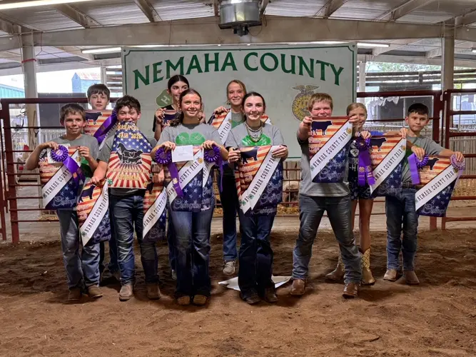 Chianina steer prevails at Nemaha County Fair