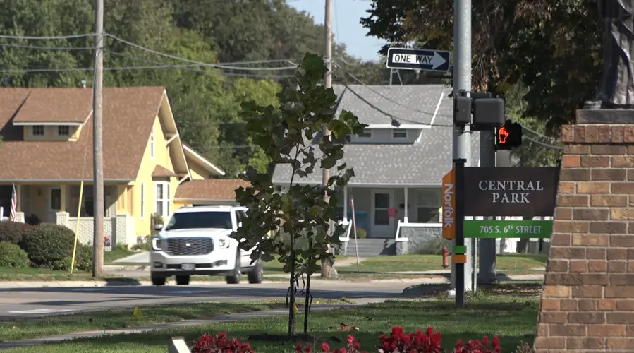 New Norfolk foundation kicks off first project with tree planting at city parks