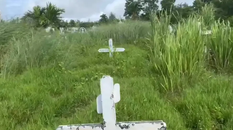Cleaner cemetery, vendor questions