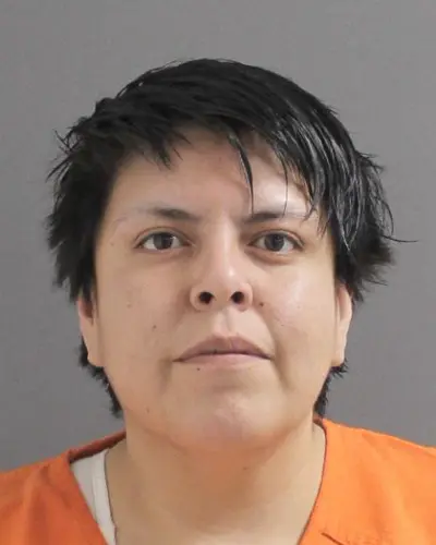 Allen woman charged after allegedly driving into Merriman business