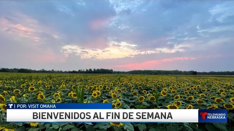 Bienvenidos al fin de semana