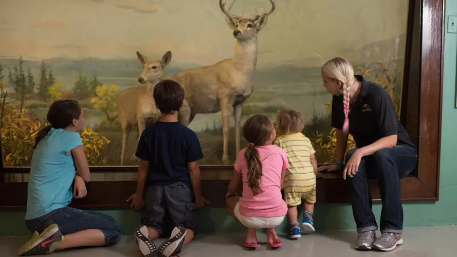 Hastings Museum Unveils Summer Program