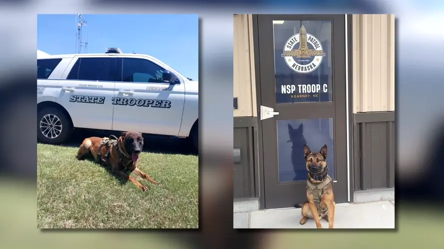 Patrulla Estatal de Nebraska incorpora dos nuevos perros K-9