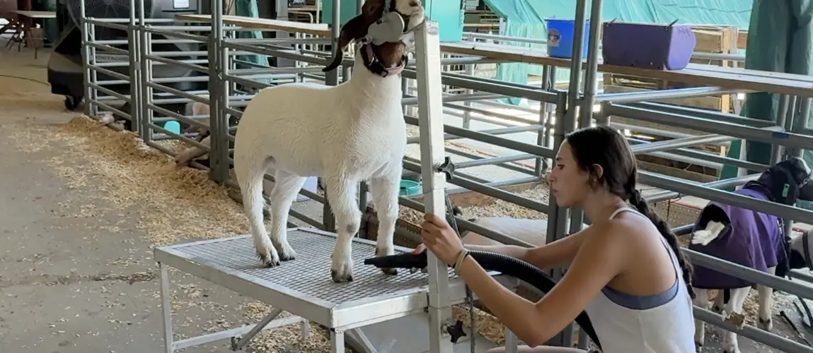 Staying with the family agriculture tradition