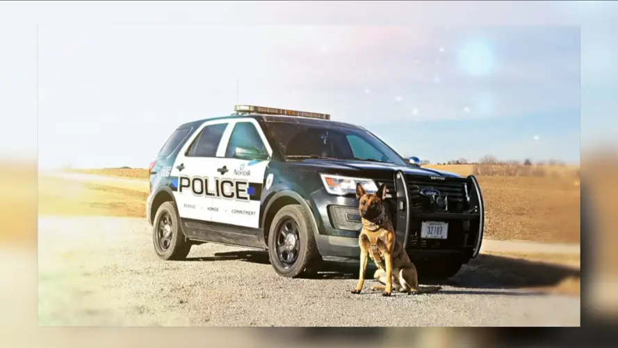 Norfolk’s police dog Kane retires after five years on duty