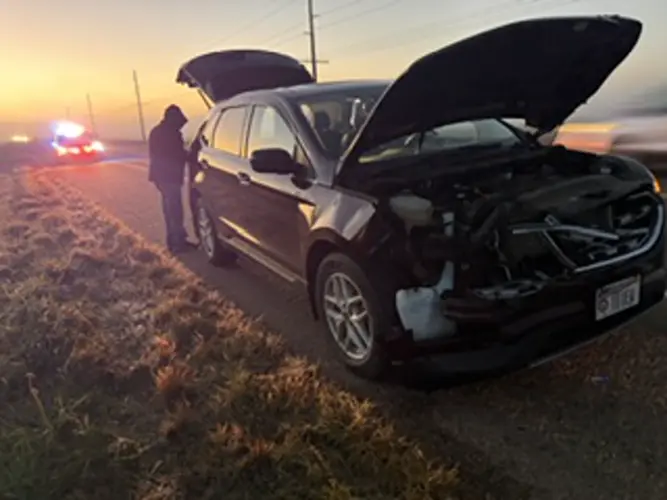 Stanton County sheriff urges deer safety after crash sends woman to hospital