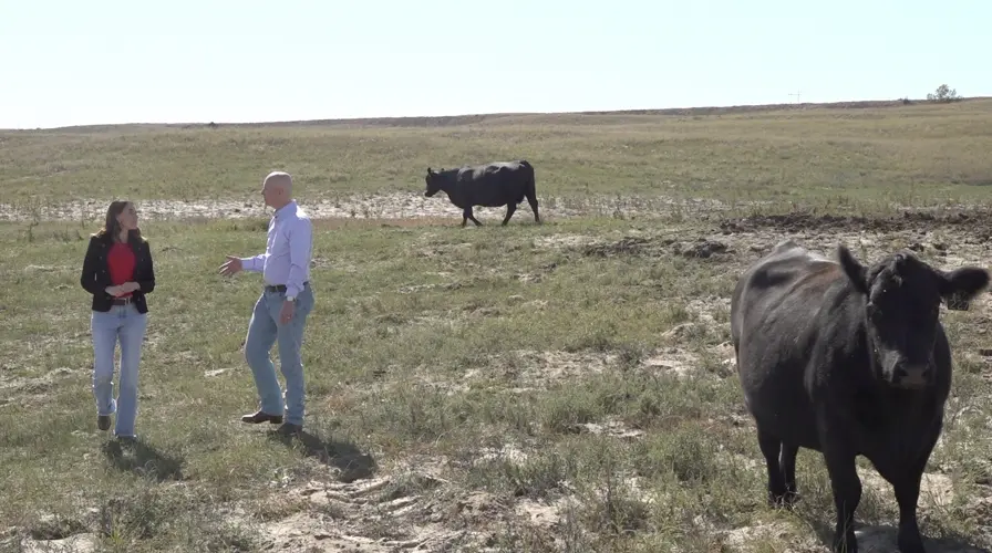 Sen. Ricketts rolls out Rebuild the American Herd Plan amid reelection campaign