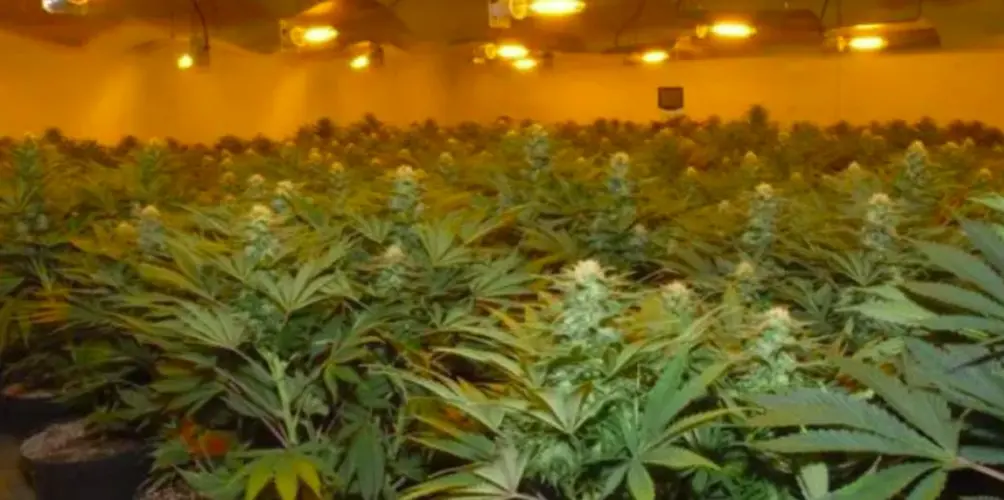 First cannabis facility with permit to operate since marijuana legalized