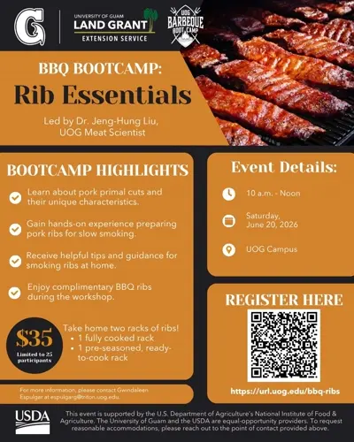 BBQ Bootcamp