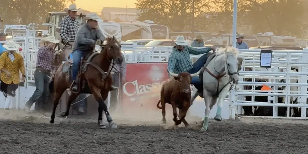 Fans pack the stands for PRCA rodeo