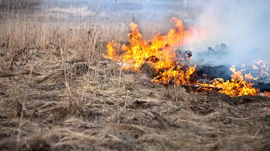 USDA aprueba ayuda federal para agricultores afectados por incendios en Nebraska