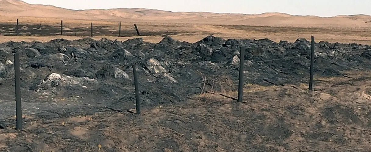 Nebraska Grazing Lands Coalition offers free post-wildfire stewardship support for ranchers