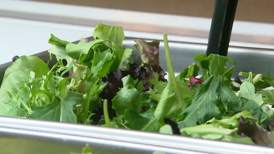 Parasite causing "explosive diarrhea" confirmed in Nebraska