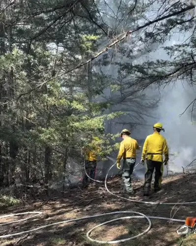 Lightning strike sparks wildfire near Ainsworth