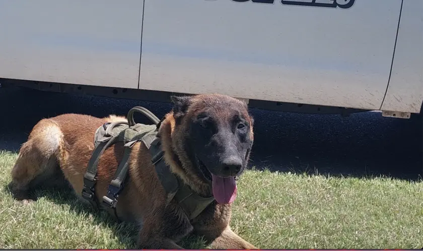 Nebraska State Patrol welcomes two new K9s to the ranks