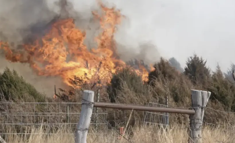 Secretaria de Agricultura de Estados Unidos se une a líderes de Nebraska para recorrido zona afectada por incendios forestales