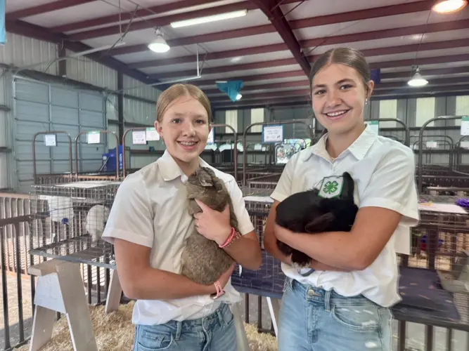 Markum sisters show bunnies in Small Animal Show