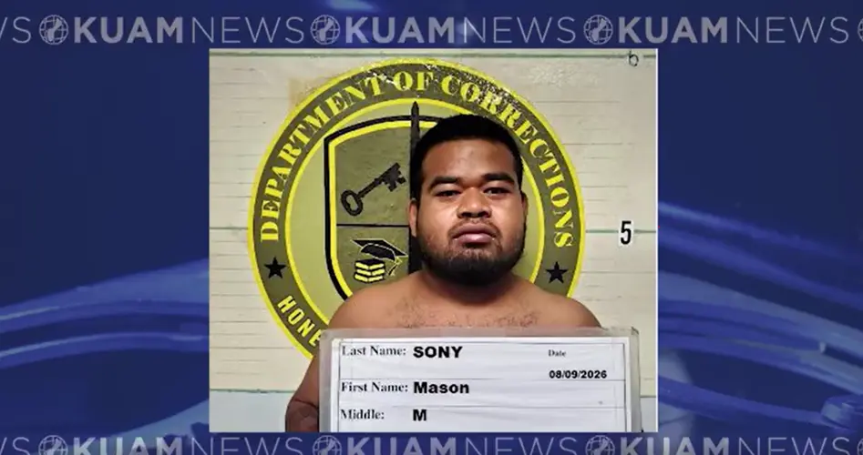 Mason Sony accused in break-ins, bat chase