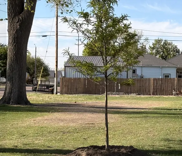 Chappell community awarded $5,000 grant