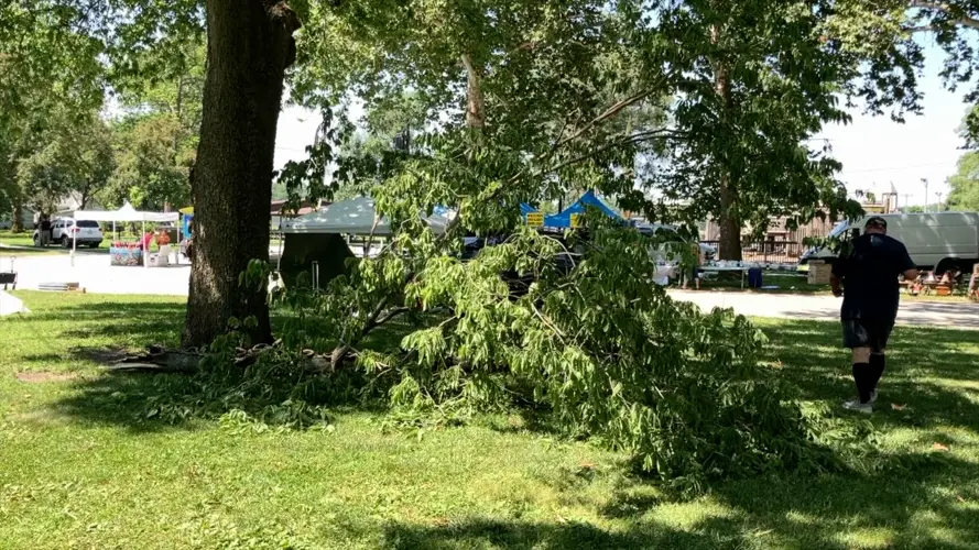 Fairbury mayor commends team effort to clean up city park in time for flea market