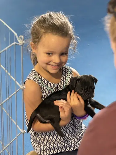 Hearts United for Animals celebrates its second annual wheeler walk in honor of founders